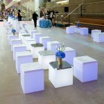 5FU9 KUBO LOW TABLE