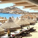 6UM5 TRULLO